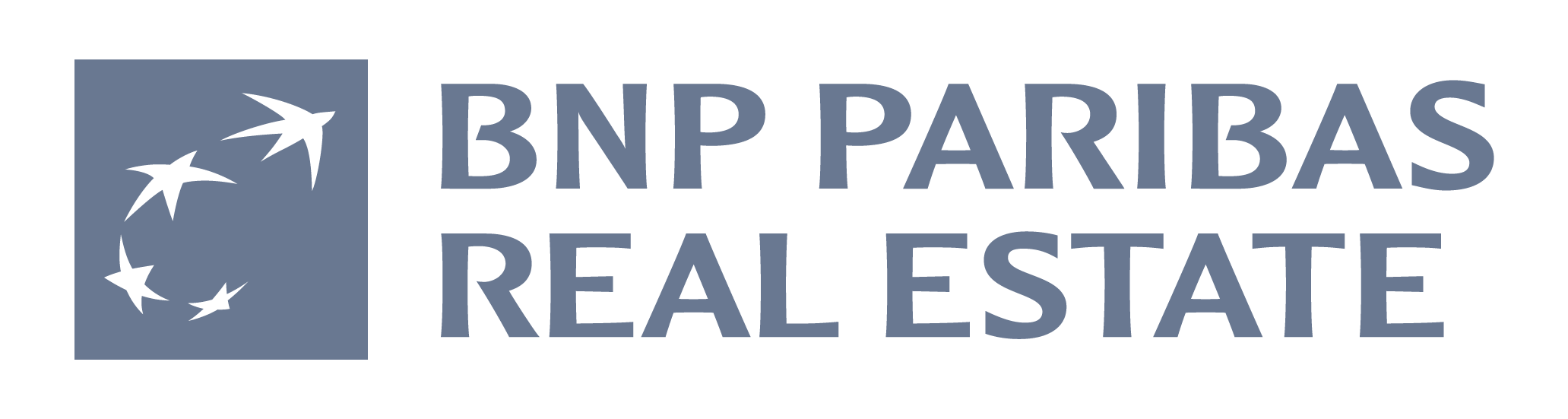 Bnp Real Estate 01